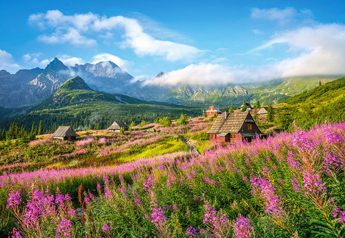 Hala Gasienicowa, Tatras, Poland, 1000 piece puzzle by Castorland